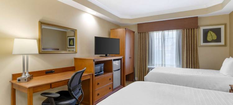 金斯兰贝斯特韦斯特优质酒店(Best Western Plus Kingsland)图片