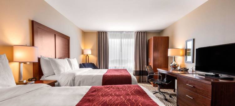 舒适套房酒店(Comfort Inn & Suites)图片