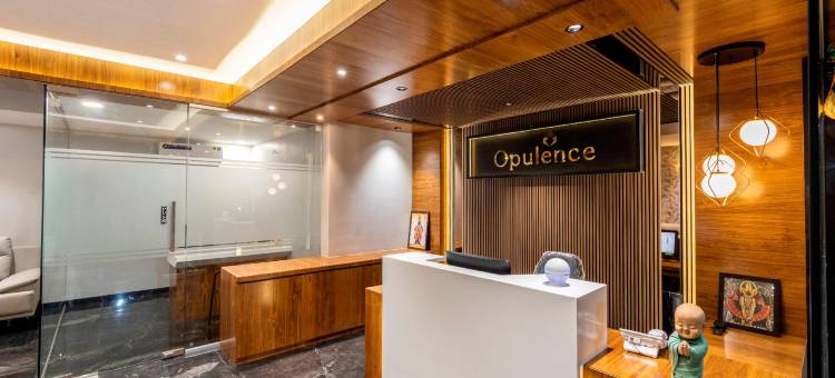 富裕酒店(Hotel Opulence)图片