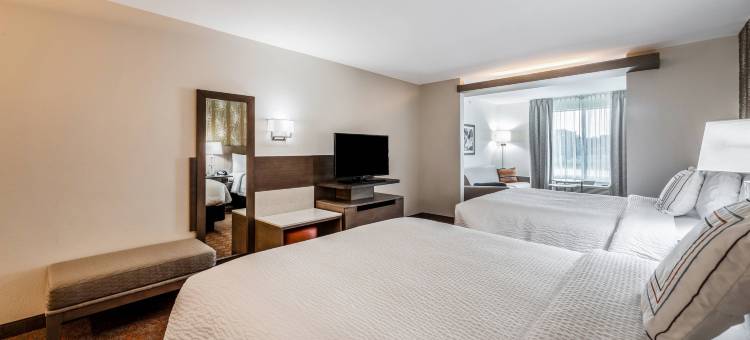 Fairfield Inn & Suites St. Joseph Stevensville图片