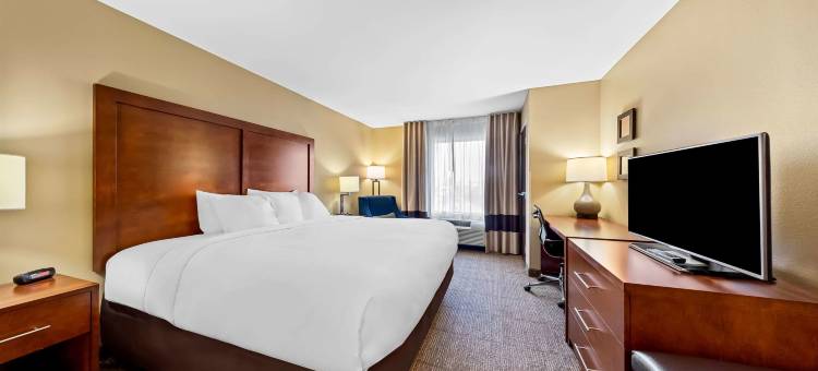 西医学中心舒适套房酒店(Comfort Inn & Suites West - Medical Center)图片