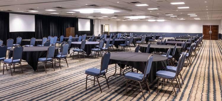 布卢明顿伊代纳希尔顿安泊酒店(Embassy Suites by Hilton Bloomington Edina)图片