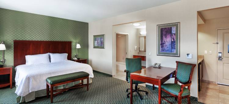 埃尔帕索西欢朋套房酒店(Hampton Inn & Suites El Paso West)图片