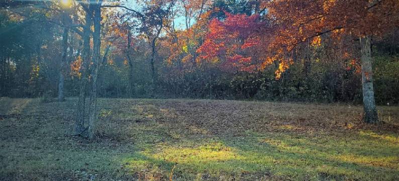 Private White River Estate on 214 acres. ATV/hiking trails. Pets stay free图片