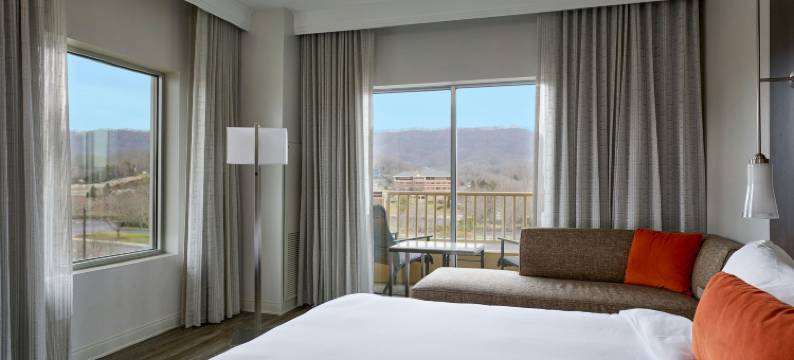 麦德威尔会议度假村及会议中心(MeadowView Conference Resort & Convention Center)图片