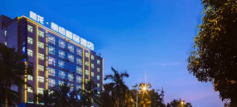 顺龙·丽栖酒店(儋州那大夏日广场店)图片