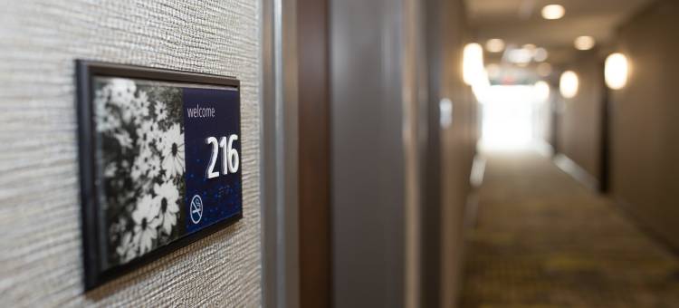 邓迪欢朋套房酒店邓迪(Hampton Inn & Suites by Hilton Dundee)图片