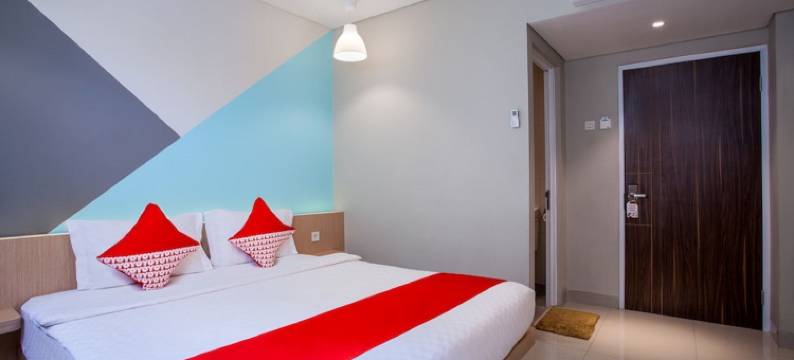 旗舰101苹果白金(Flagship 101 Apple Platinum)图片