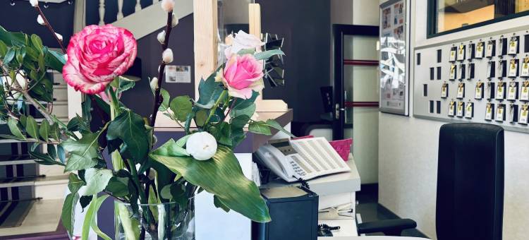 芬塔拉比酒店(Logis Hôtel-Restaurant le Fontarabie)图片