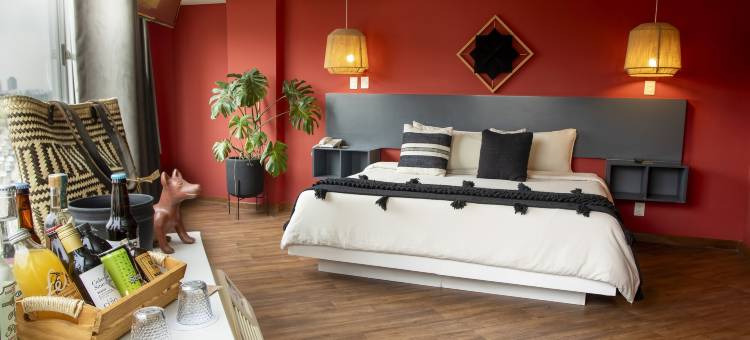 B城市酒店-由方丹管理(Hotel B Urban Xaman by Fontán Reforma)图片