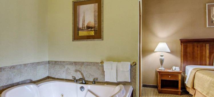 塞勒姆I-81凯艺酒店(Quality Inn Salem - I-81)图片