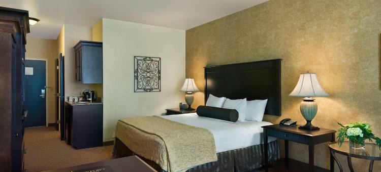 博伊西牛津套房酒店(Oxford Suites Boise)图片