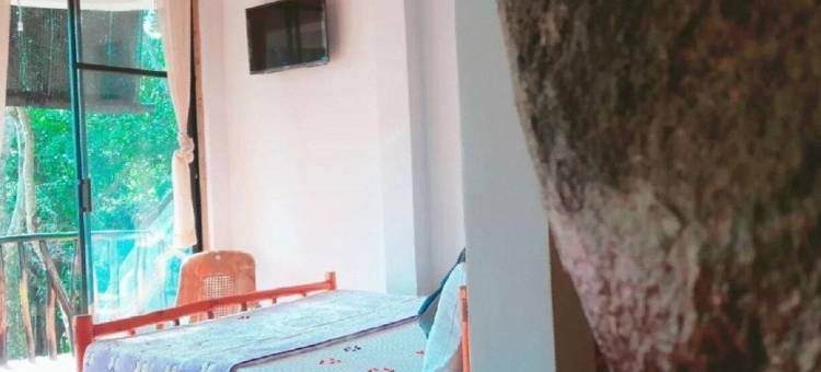 艾拉露营度假村(Ella Camping Resort)图片