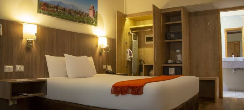 上钦查标准安迪纳民宿(Casa Andina Standard Chincha)图片