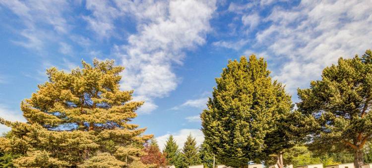 特阿瑙湖景假日公园及汽车旅馆(Te Anau Lakeview Holiday Park & Motels)图片