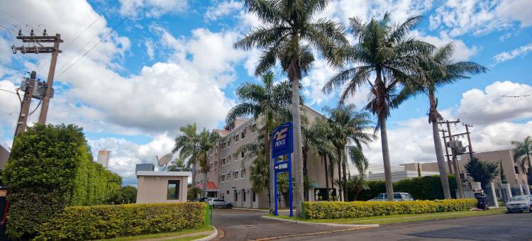 菲尼克斯酒店里梅拉(Fênix Hotel Limeira)图片