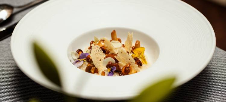 哥白尼酒店(Hotel Copernicus)图片