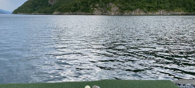 Brygga på Dønna图片