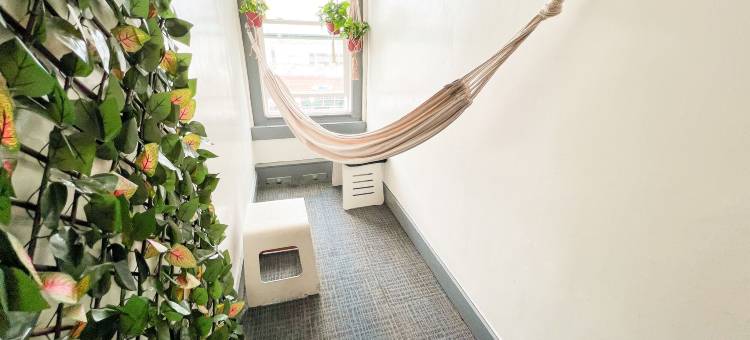 ITH贺茂沙海滩冲浪旅舍-LAX(ITH Hermosa Beach Surf Hostel LAX)图片