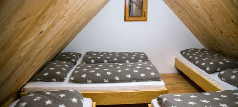 科卡比斯特拉 - 威力卡普拉妮娜饭店(Koča Bistra - Velika Planina)图片