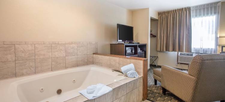 迪科拉凯艺套房酒店(Quality Inn & Suites Decorah)图片