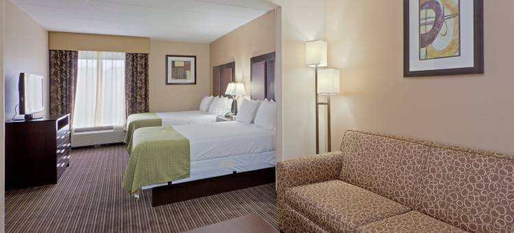 查尔斯顿-绍斯里奇智选假日酒店及套房(Holiday Inn Express & Suites Charleston-Southridge)图片