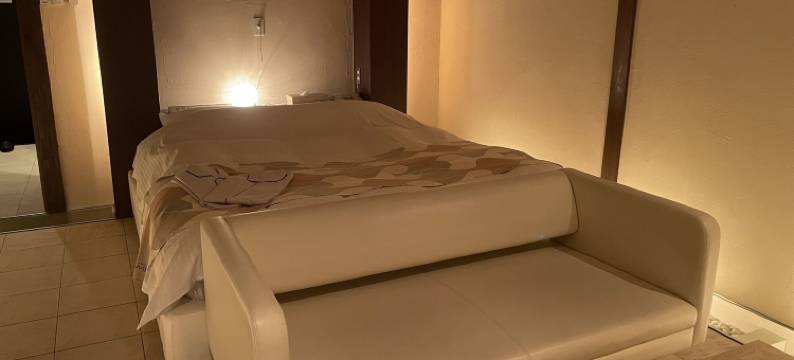 酒店风雅-大人限定(Hotel Fuuga - Adults Only)图片