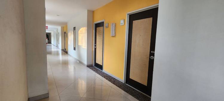 库埃纳瓦卡弗朗西斯科民宿(Casa Francisco)图片