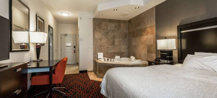 莱斯布里奇希尔顿欢朋酒店(Hampton Inn & Suites by Hilton Lethbridge)图片