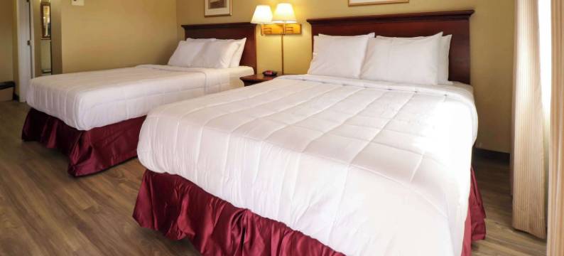 布莱斯伊克诺旅馆(Econo Lodge)图片