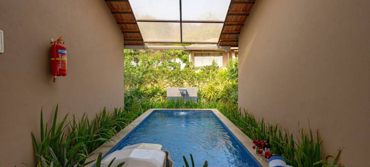 美妙的隐居处(Ravishing Retreat)图片