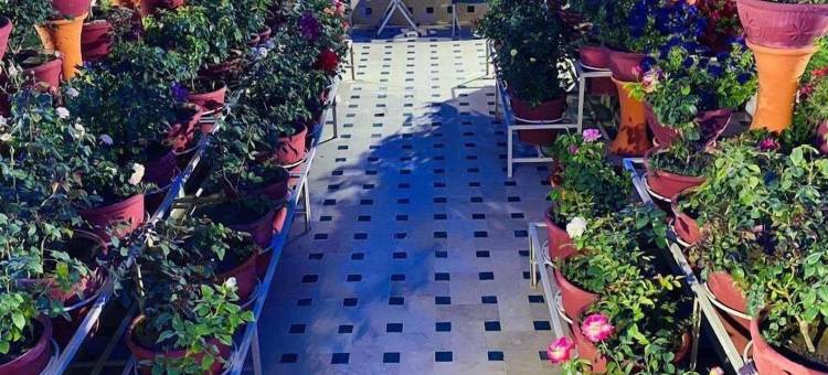 阿尔卡西姆酒店(Al Qasim Hotel)图片