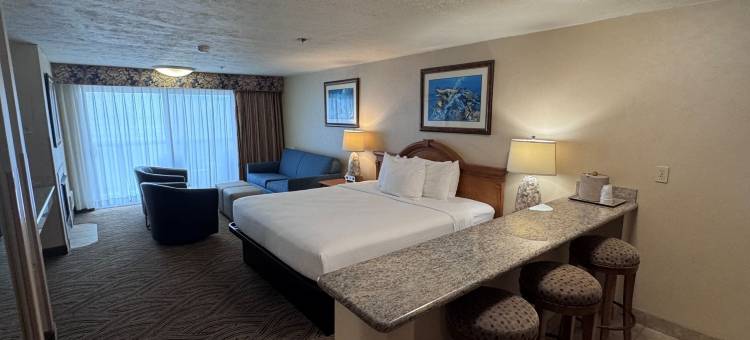 普罗米纳德酒店及套房海滨(Promenade Inn & Suites Oceanfront)图片