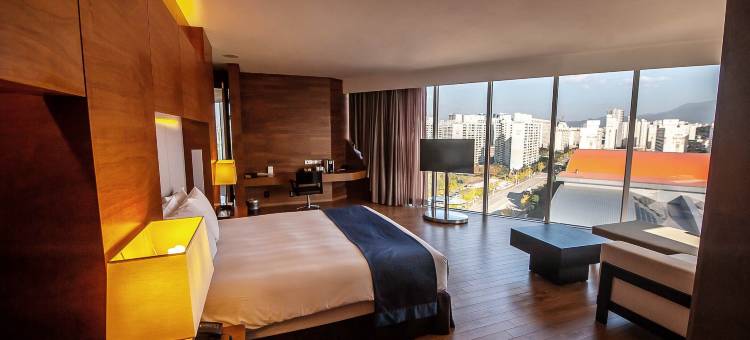 光州假日酒店(Holiday Inn Gwangju, Korea)图片