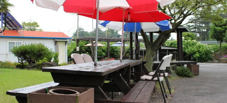 济州感之家旅馆(Jeju Feel House)图片