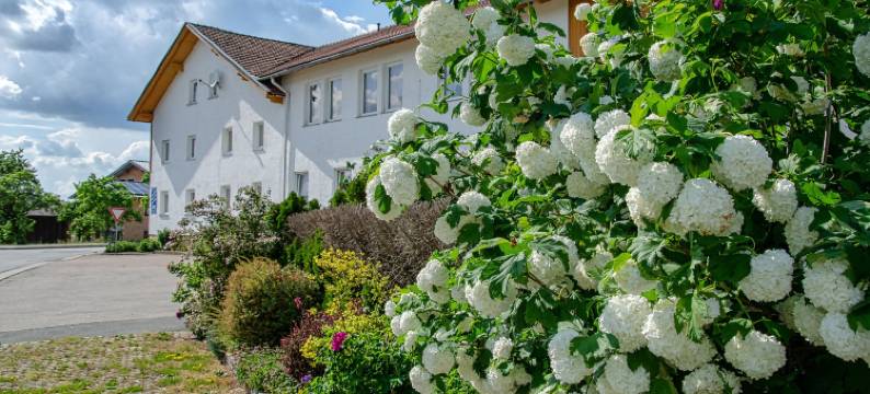 阿特曼酒店(Hotel Gasthof Altmann)图片