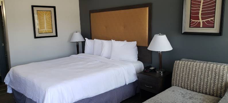 伯班克波托菲诺酒店(Portofino Inn Burbank)图片