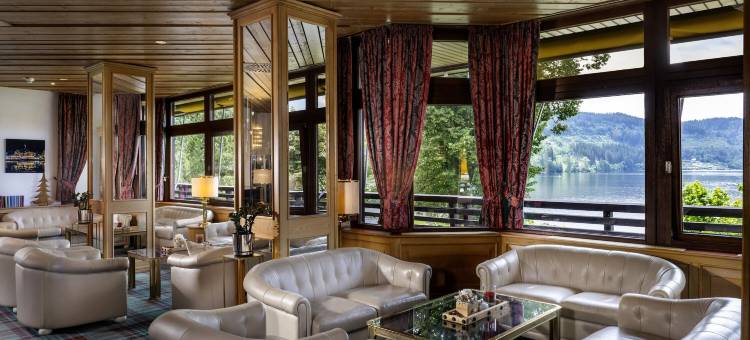 蒂蒂湖酒店(Maritim TitiseeHotel Titisee-Neustadt)图片
