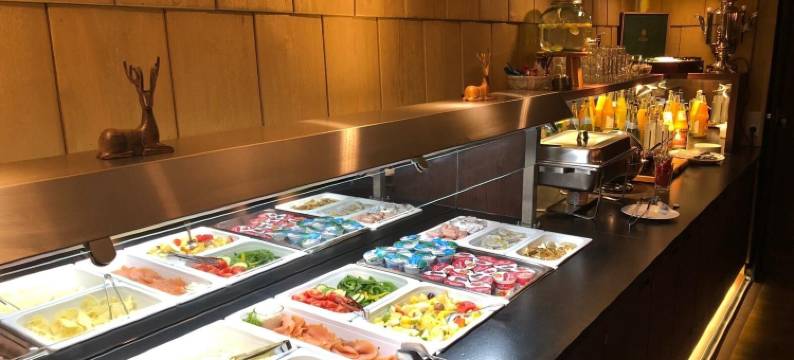 老城米特酒店(Altstadtmittehotel Sonne)图片