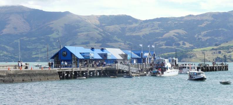 阿卡罗阿景观(Akaroa Vista)图片