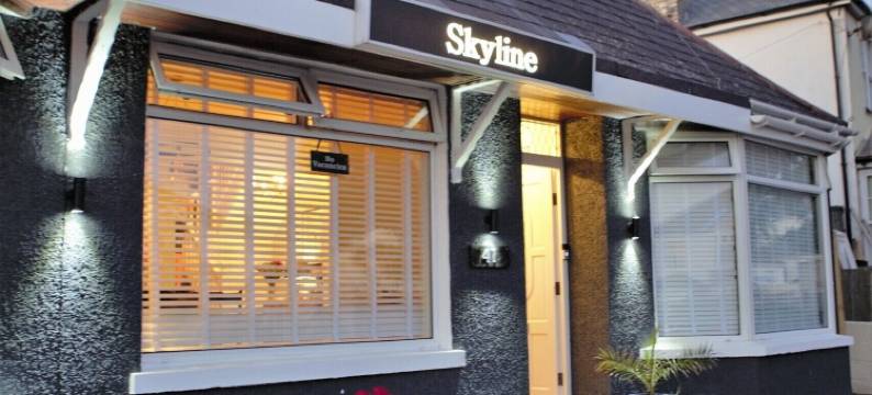 天际线旅馆(Skyline Guesthouse)图片