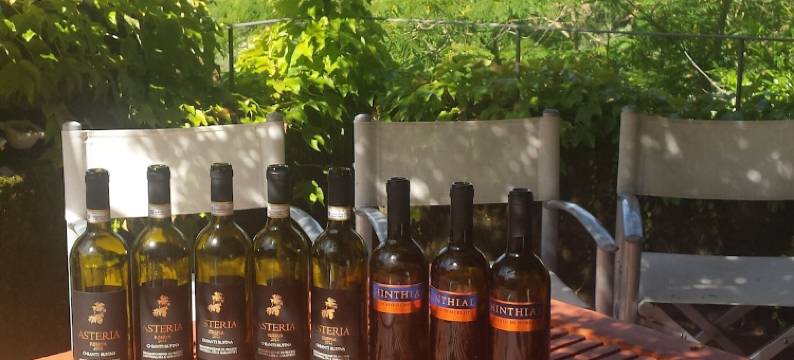 佩扎蒂诺二号酒店(Il Pezzatino)图片