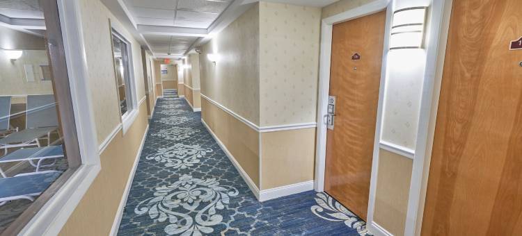 大使套房酒店(Ambassador Inn and Suites)图片