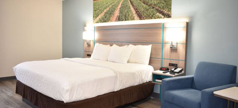 维达利亚 - 西里昂克拉丽奥酒店(Clarion Pointe Vidalia - Lyons West)图片