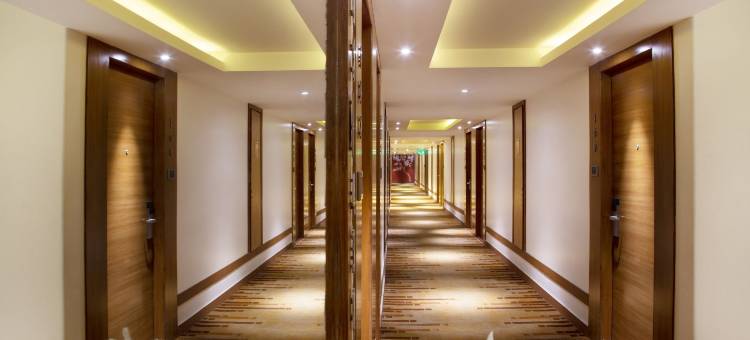 巴特那孔雀酒店(Hotel Maurya)图片