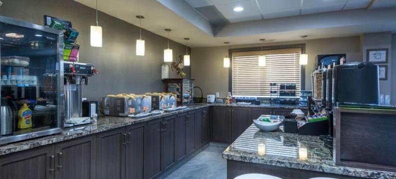 廷柏山套房酒店(Timber Ridge Inn and Suites)图片