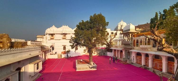 巴斯堡宫殿图玛酒店(Bassi Fort Palace)图片