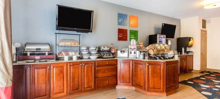 伯灵顿南舒适套房酒店(Comfort Inn & Suites)图片