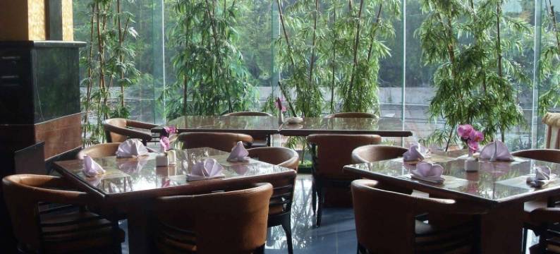 奥瓦尔酒店(Hotel Oval)图片