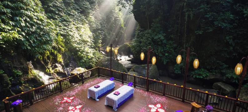 空中花园南迪尼丛林酒店(Nandini Jungle by Hanging Gardens)图片